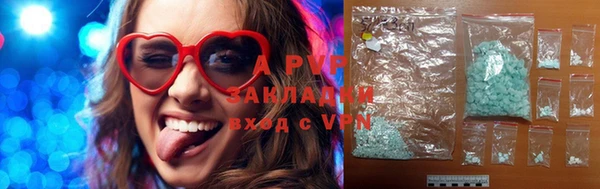хмурый Белокуриха