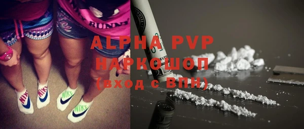 хмурый Белокуриха