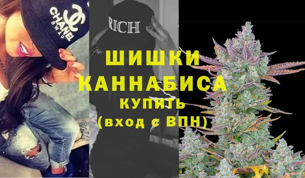 хмурый Белокуриха