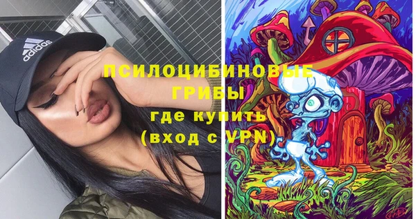 хмурый Белокуриха