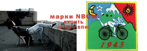 хмурый Белокуриха